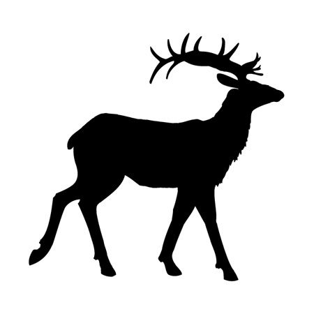 Proud Stag Iron on Decal